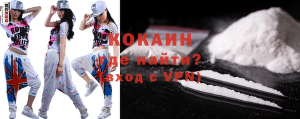 стафф Новодвинск