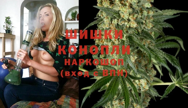 стафф Новодвинск
