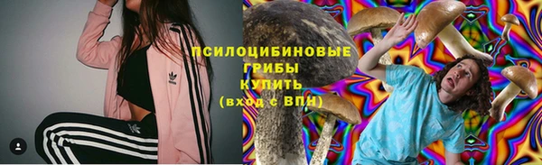 PSILOCYBIN Новокубанск